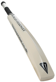 Coaching Practice Bat