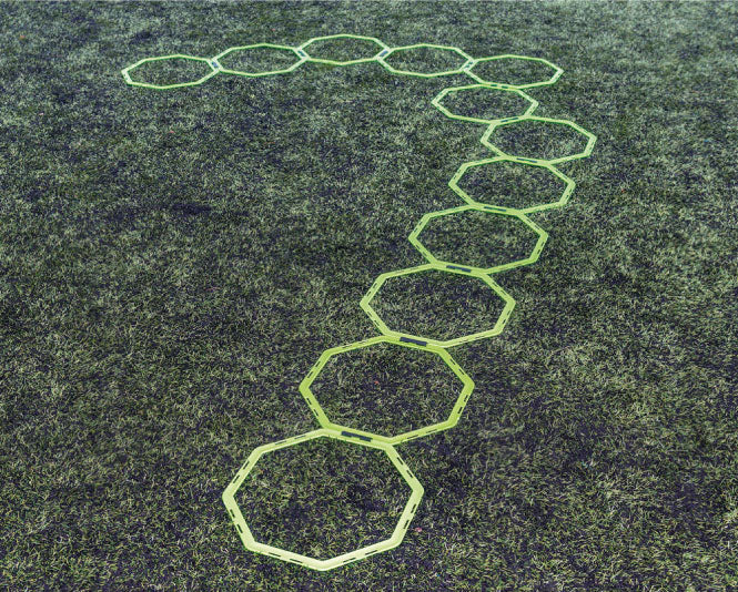 Octa Ring System