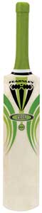 Fielding Bat 5 Star