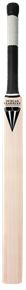 Coaching Practice Bat